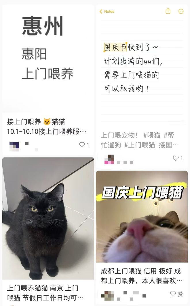 2700名游客国庆涌进荣昌区政府食堂：一顿吃了550斤米饭，250斤卤鹅