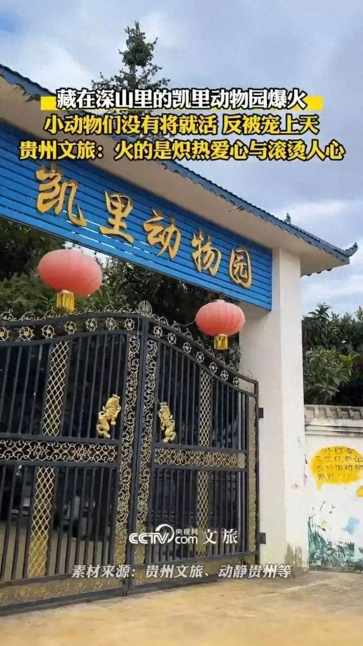 退休教师“再就业”，20元门票十年不涨价，这家深山里的动物园藏不住了！