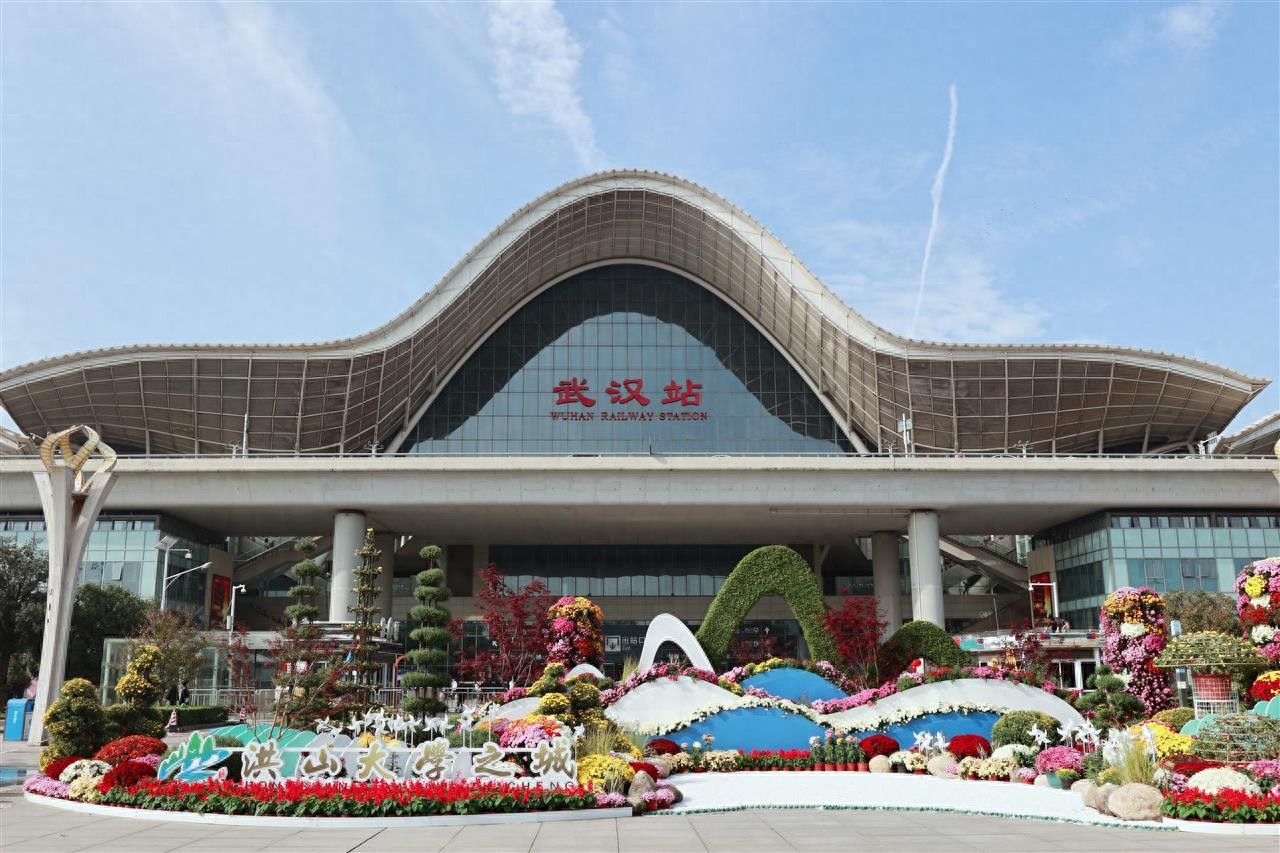 数万株菊花迎着晨光绽放，洪山区武汉站菊展开展