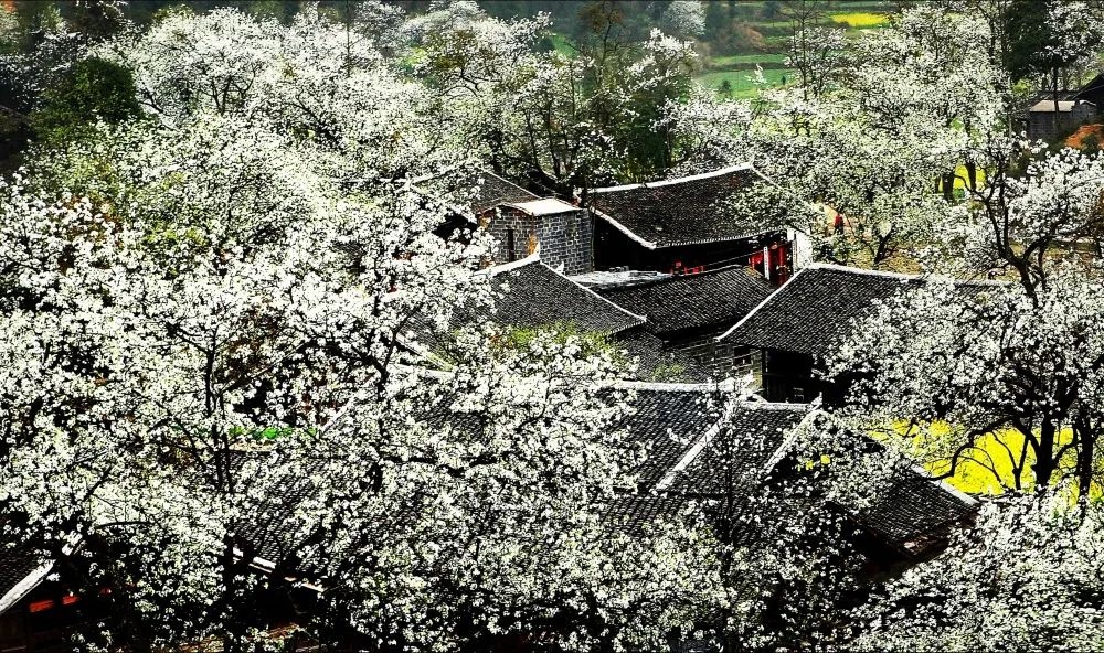 00后大学生拧螺丝送外卖,在工地抬钢筋练出腹肌,本人回应:想攒钱带爷爷奶奶进城游玩