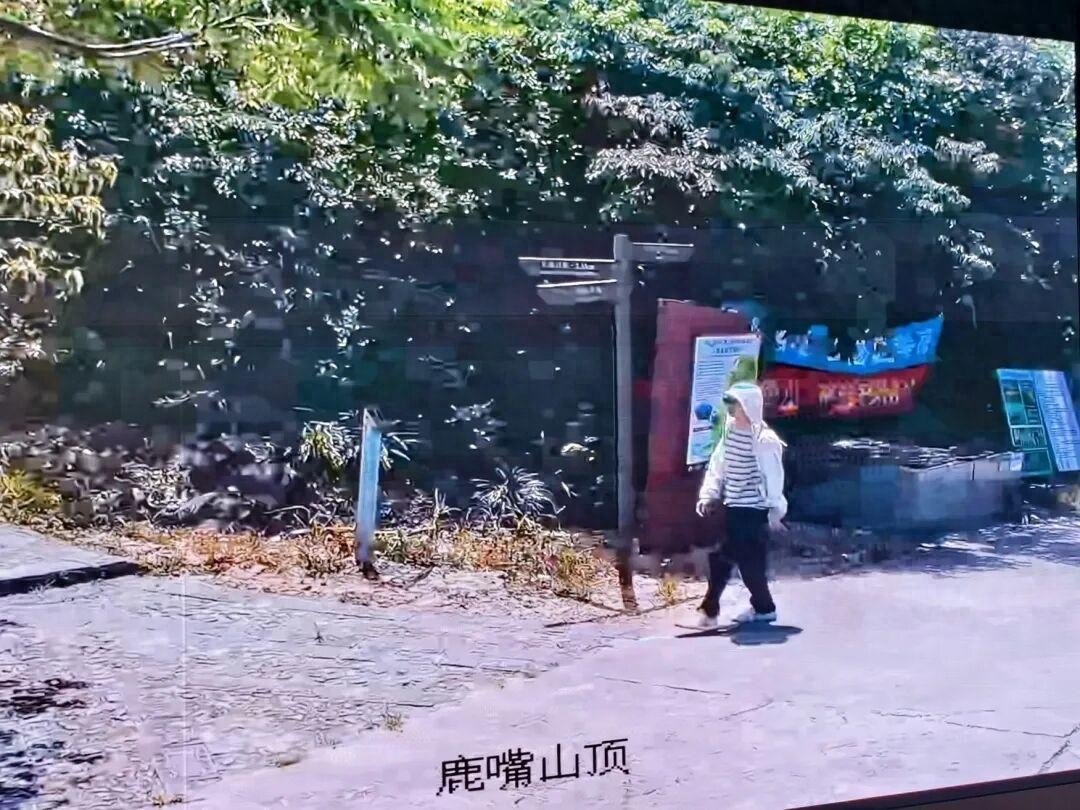 广东一地发现无名浮尸，当地回应：与深圳大鹏登山失联者DNA比对不匹配