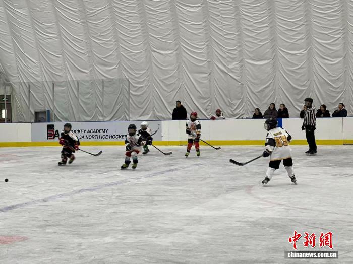 2025中俄青少年冰球邀请赛落幕 24支队伍哈尔滨角逐