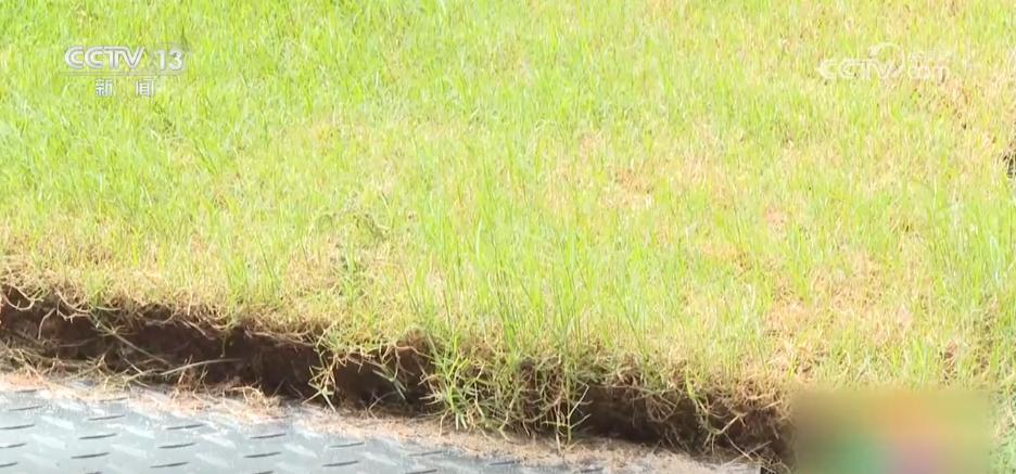 为全运打Call!体育为“媒” 粤港澳三地共赴全运之约