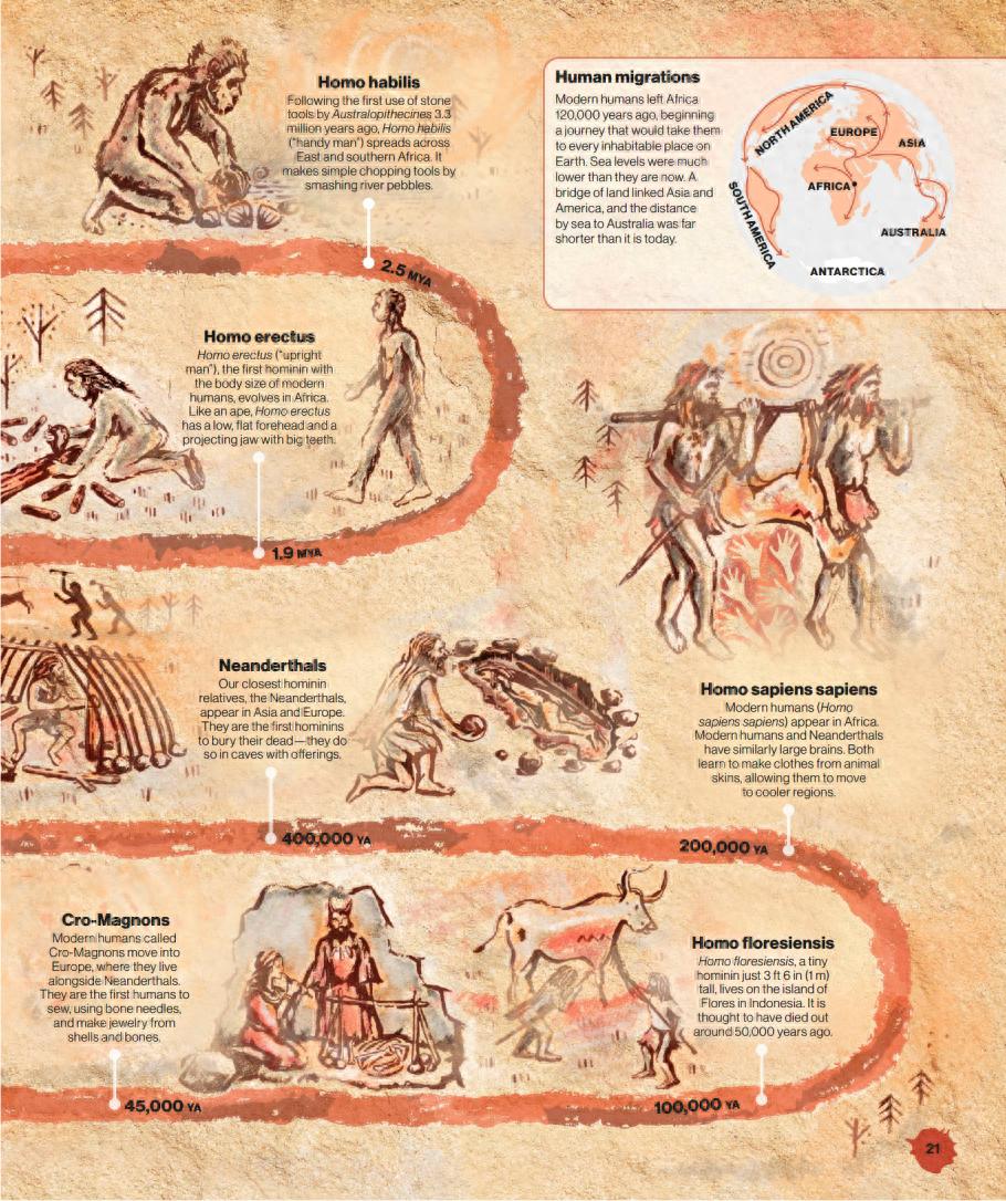 贸易简史｜贸易与文明：一切都围绕分配经济剩余而展开