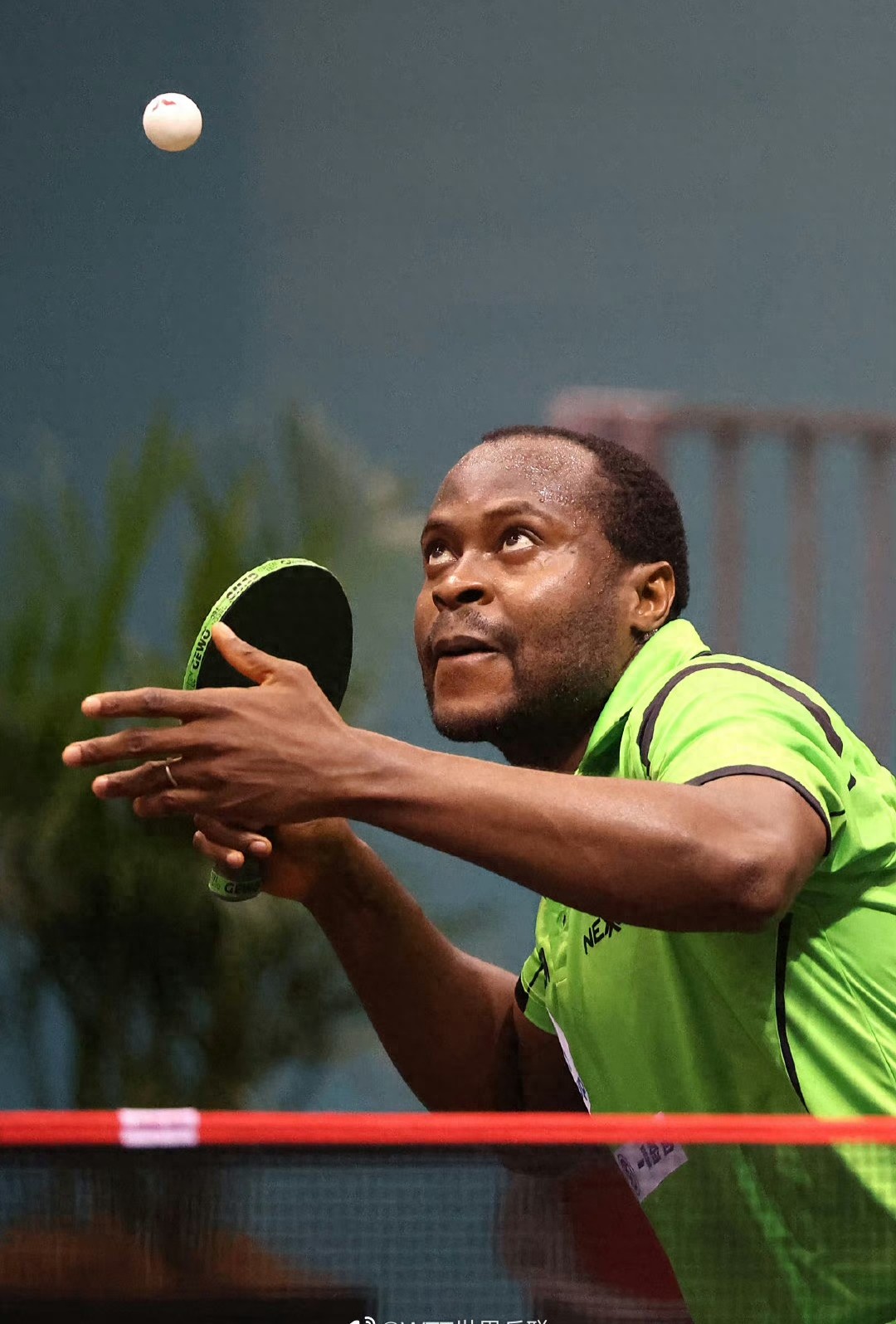 国乒男单两连胜了，薛飞3-0完胜张本智和，终结一轮游！王皓笑了