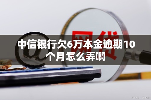 中信银行欠6万本金逾期10个月怎么弄啊