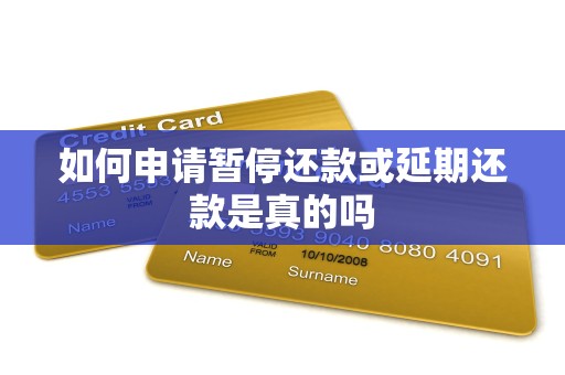 如何申请暂停还款或延期还款是真的吗