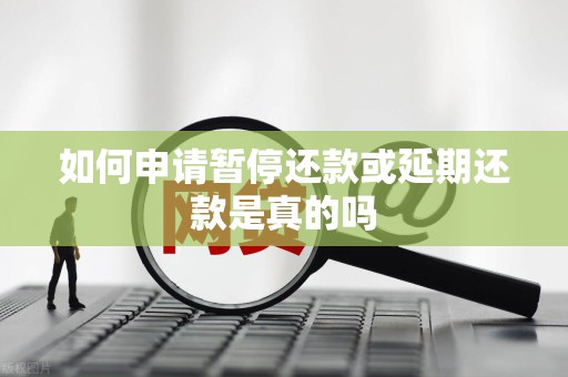 如何申请暂停还款或延期还款是真的吗