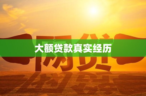 大额贷款真实经历