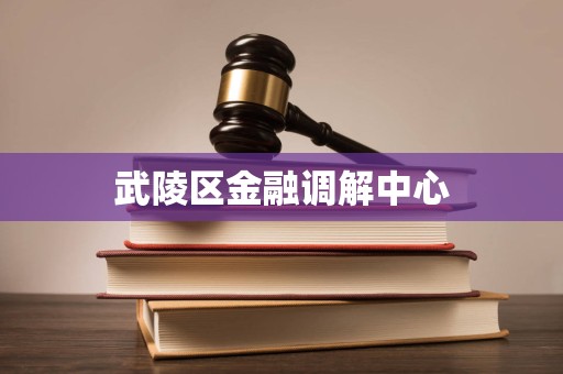 武陵区金融调解中心