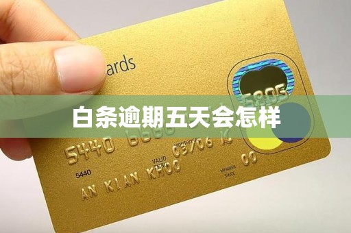 白条逾期五天会怎样