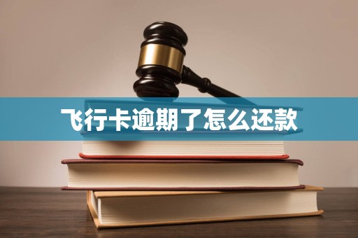 飞行卡逾期了怎么还款