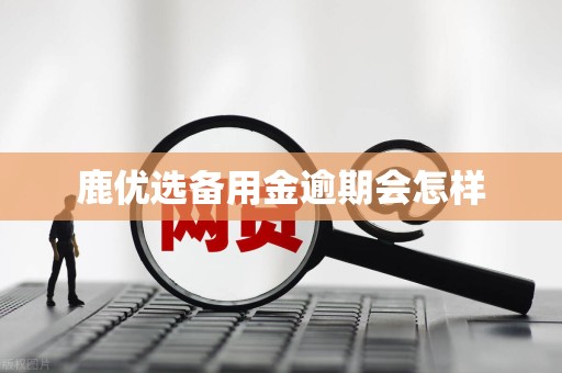 鹿优选备用金逾期会怎样