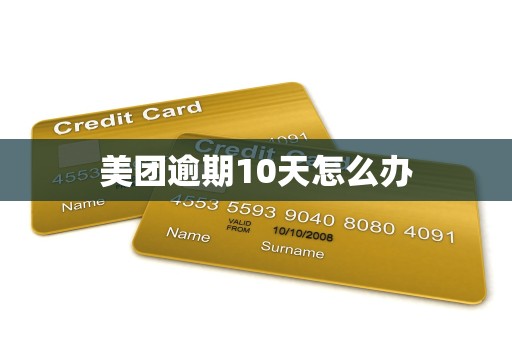 美团逾期10天怎么办