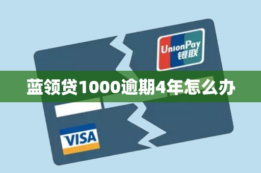 蓝领贷1000逾期4年怎么办