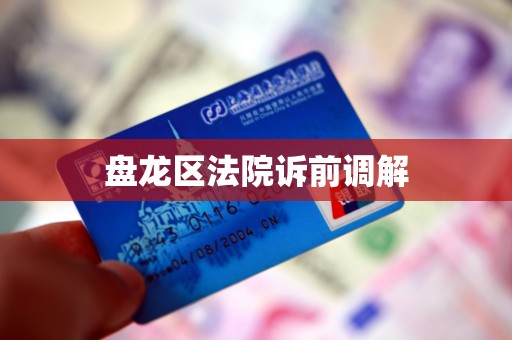 盘龙区法院诉前调解