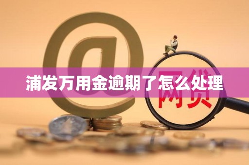 浦发万用金逾期了怎么处理