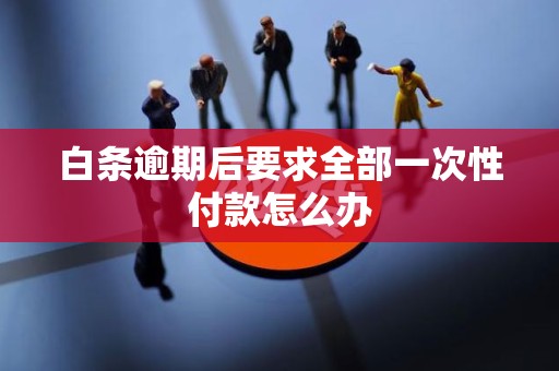 白条逾期后要求全部一次性付款怎么办