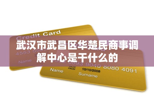 武汉市武昌区华楚民商事调解中心是干什么的