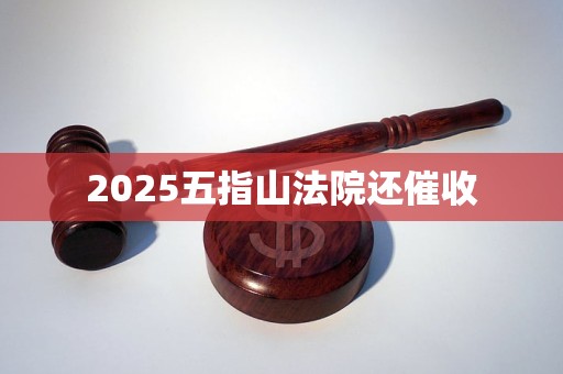 2025五指山法院还催收