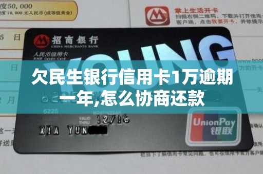 欠民生银行信用卡1万逾期一年,怎么协商还款