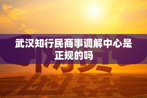 武汉知行民商事调解中心是正规的吗
