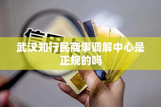 武汉知行民商事调解中心是正规的吗