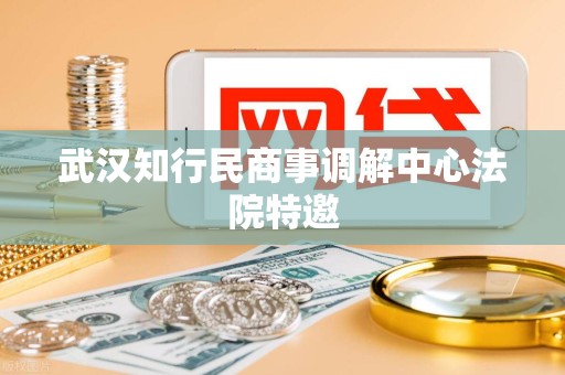 武汉知行民商事调解中心法院特邀