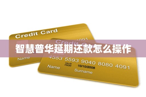 智慧普华延期还款怎么操作