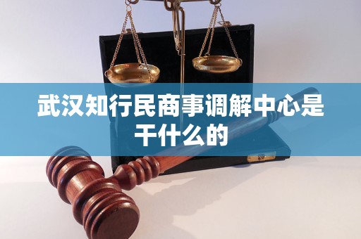 武汉知行民商事调解中心是干什么的