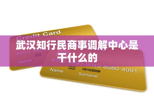 武汉知行民商事调解中心是干什么的