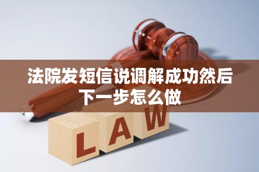 法院发短信说调解成功然后下一步怎么做