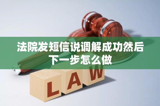 法院发短信说调解成功然后下一步怎么做
