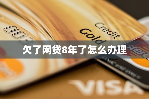 欠了网贷8年了怎么办理