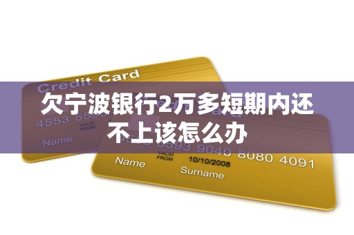 欠宁波银行2万多短期内还不上该怎么办