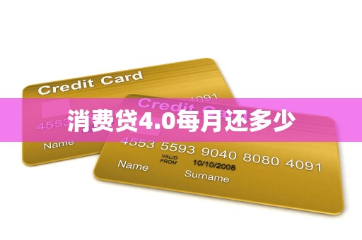 消费贷4.0每月还多少
