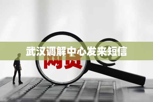 武汉调解中心发来短信