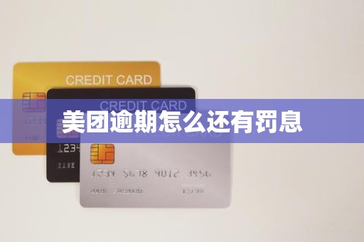 美团逾期怎么还有罚息