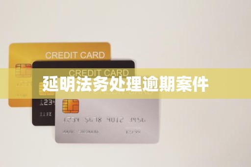 延明法务处理逾期案件