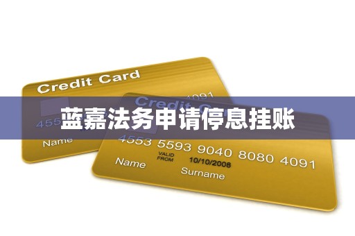 蓝嘉法务申请停息挂账