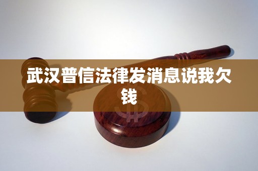 武汉普信法律发消息说我欠钱