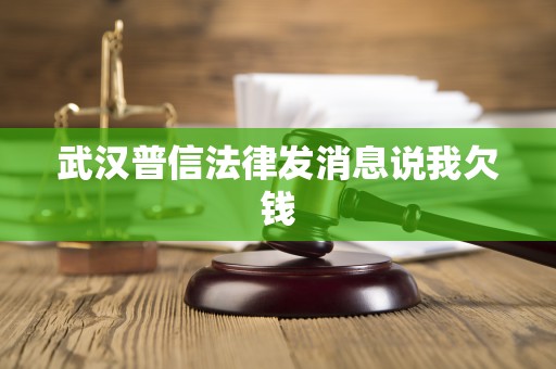 武汉普信法律发消息说我欠钱