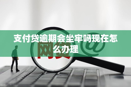 支付贷逾期会坐牢吗现在怎么办理