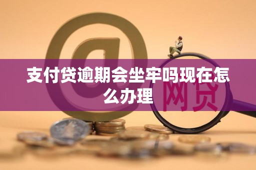 支付贷逾期会坐牢吗现在怎么办理