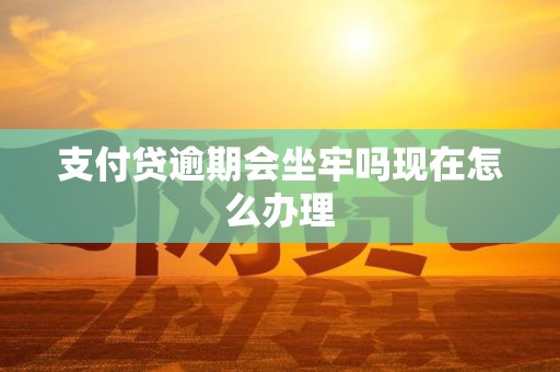 支付贷逾期会坐牢吗现在怎么办理
