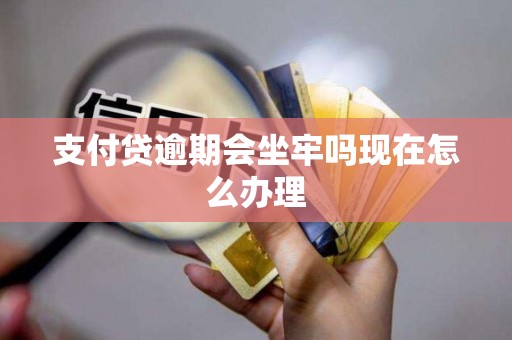 支付贷逾期会坐牢吗现在怎么办理