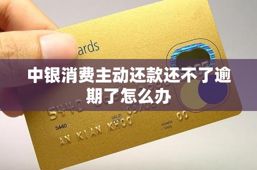 中银消费主动还款还不了逾期了怎么办