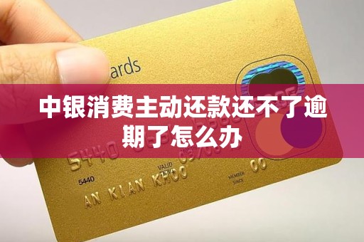 中银消费主动还款还不了逾期了怎么办