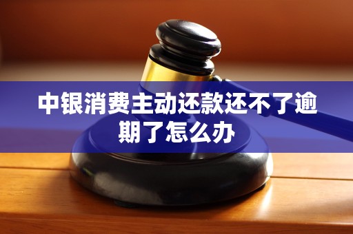 中银消费主动还款还不了逾期了怎么办