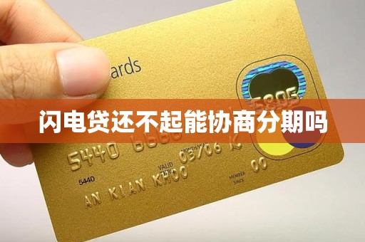 闪电贷还不起能协商分期吗